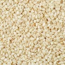 Sesame Seed