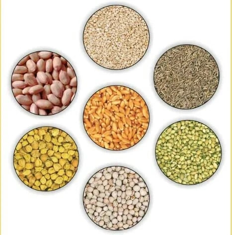 Seed Grading Services