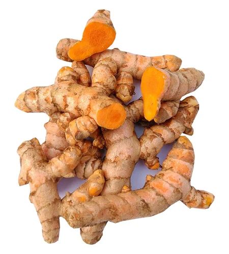 Fresh Turmeric Root