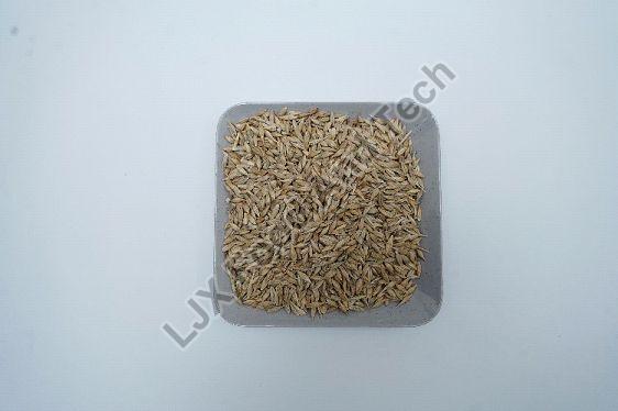 Ajwain Seeds