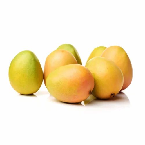 Kesar Mangoes