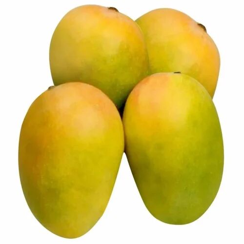 Fresh Kesar Mango