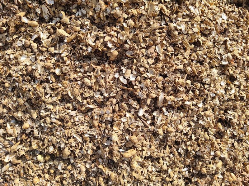 Groundnut Husk