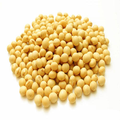 Soybean Seeds