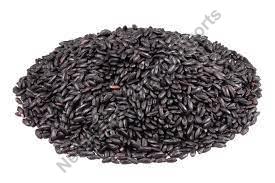 Black Rice