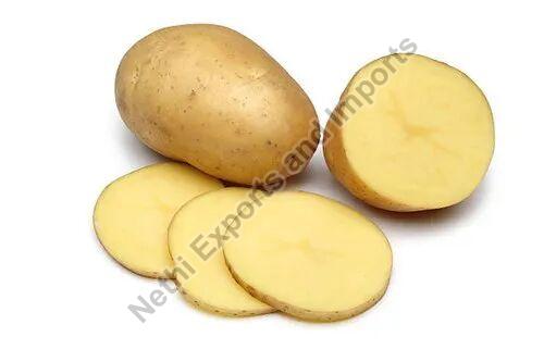 fresh potato