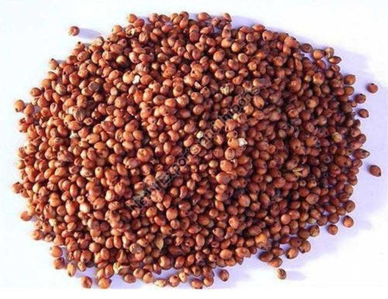 Red Sorghum Millet