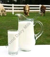 Fresh Buffalo Milk