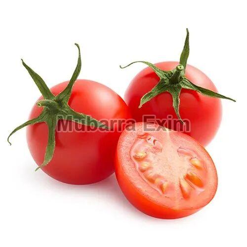 Tomato