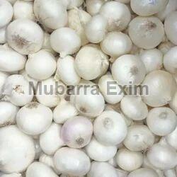 Natural White Onion