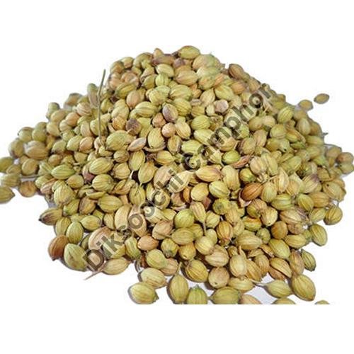 Coriander Seeds