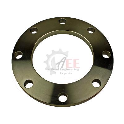 Low Temperature Carbon Steel Plate Flanges
