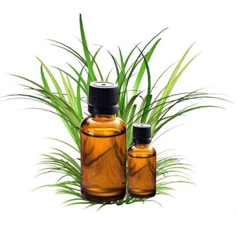 Citronella Oil