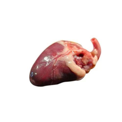 Frozen Chicken Heart