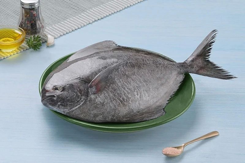 Frozen Pomfret Fish