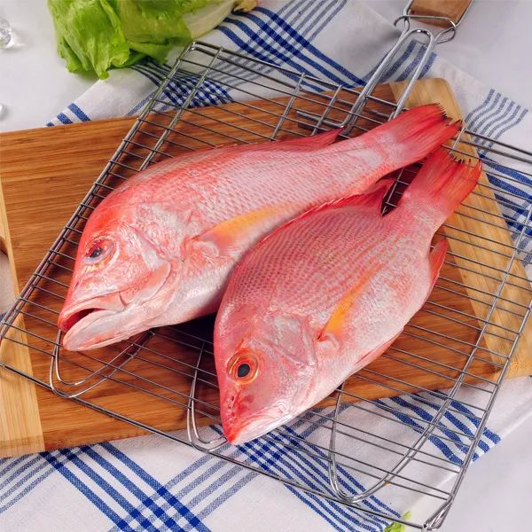 Frozen Red Snapper Fish