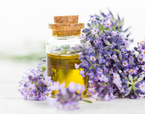 Natural Lavender Oil