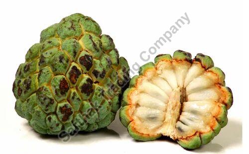 A Grade Fresh Custard Apple