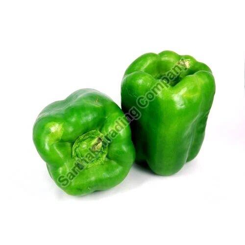 Fresh Green Capsicum