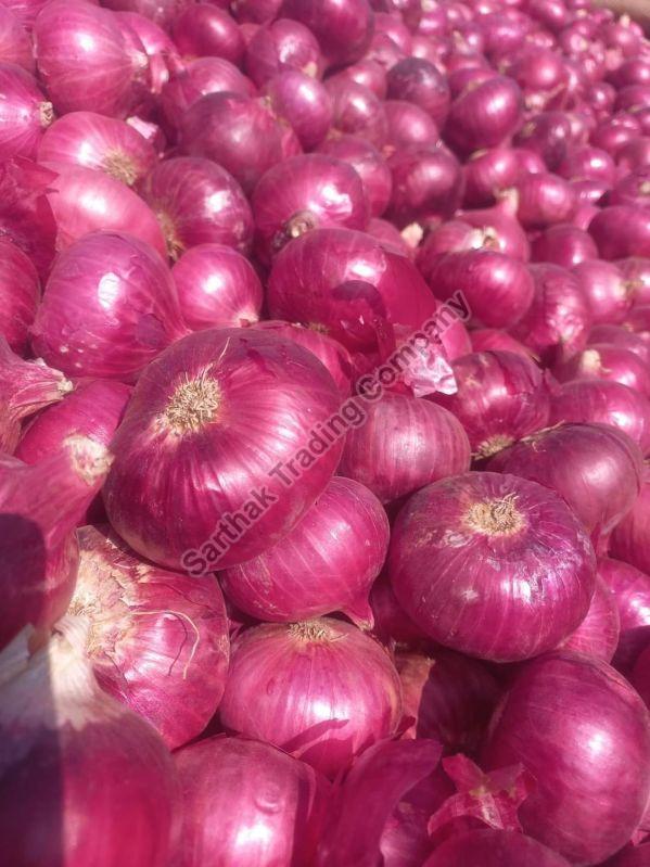 Fresh Red Onion