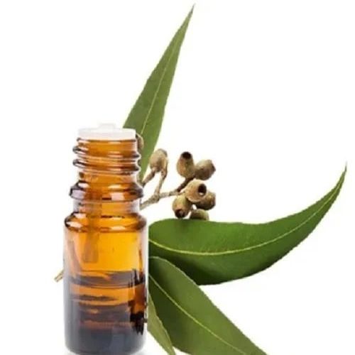 Eucalyptus Oil