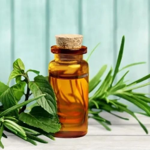 Tea Tree Oil