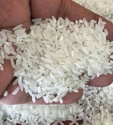 20% Broken Swarna Raw Rice