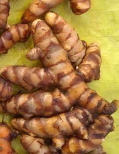 Fresh Turmeric Finger