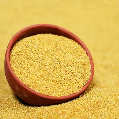 Foxtail Millet