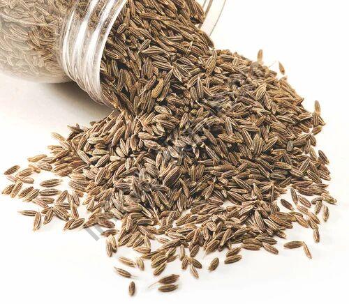 Cumin Seeds