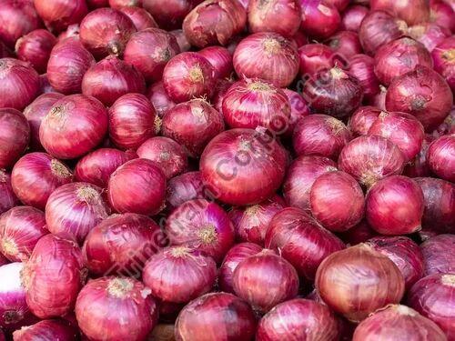 A Grade Red Onion