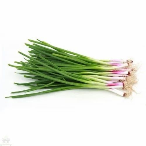 Fresh Spring Onion