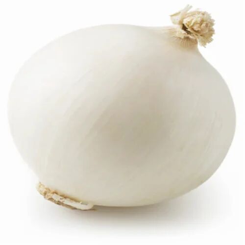 Fresh White Onion