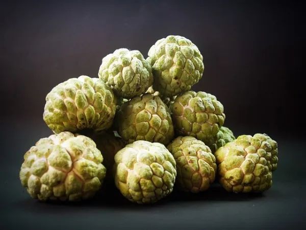 Fresh Custard Apple