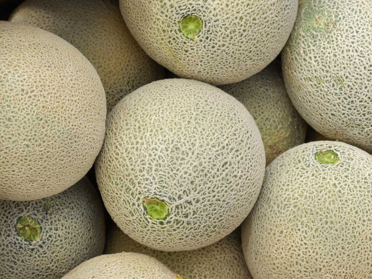 Fresh Melon