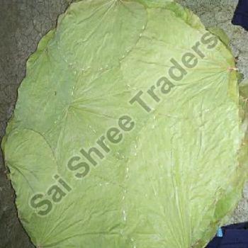 10 Inch Siali Leaf Plates