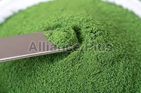 Chrome Oxide Green Powder