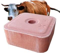 Mineral Lick Block