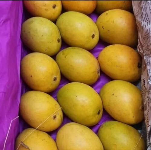 Fresh Alampur Mango