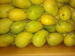 Fresh Badami Mango