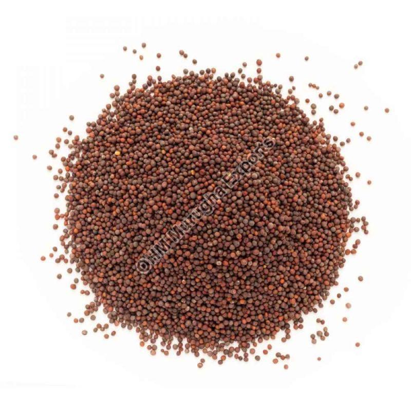 Brown Mustard Seeds