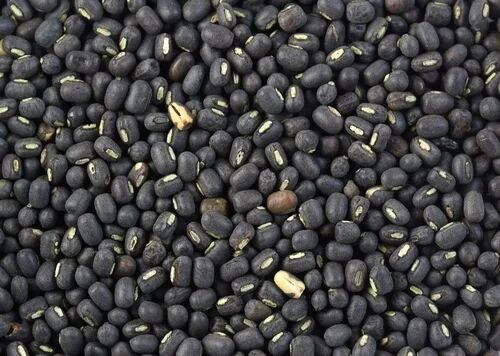 Black Whole Urad Dal