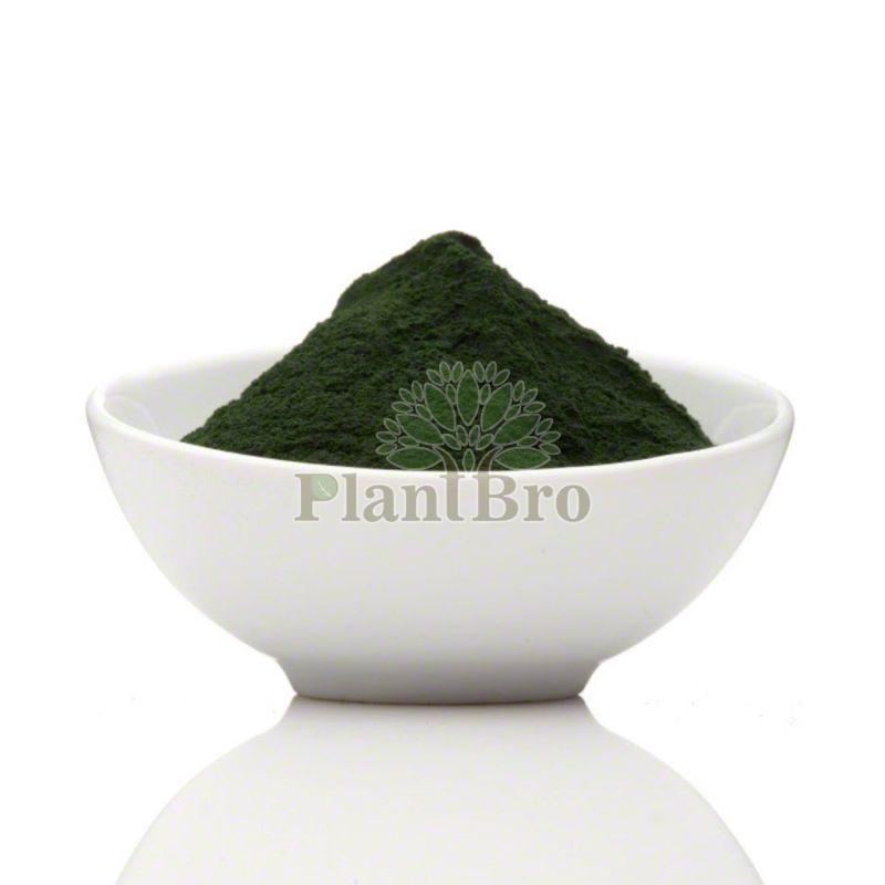 Natural Spirulina Powder