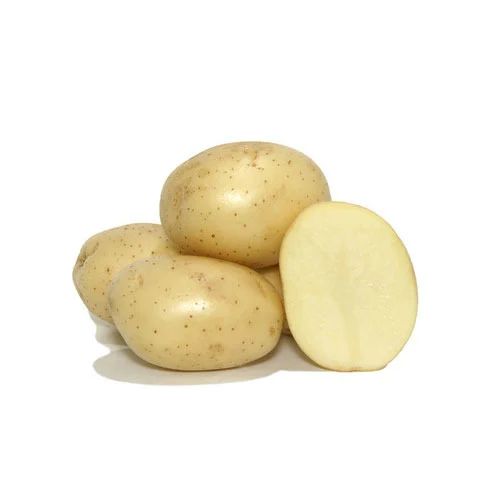 Atlantic Potato