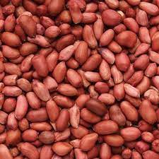 Groundnut Seeds