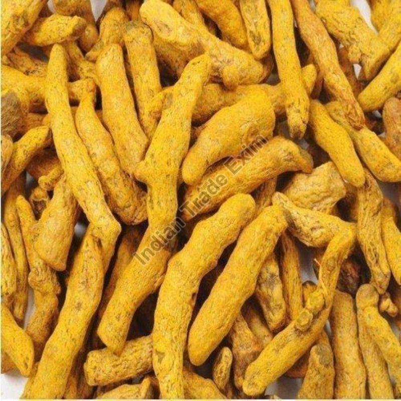 Polished Turmeric Finger