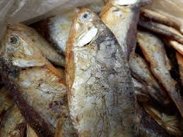 Dried Catla Fish