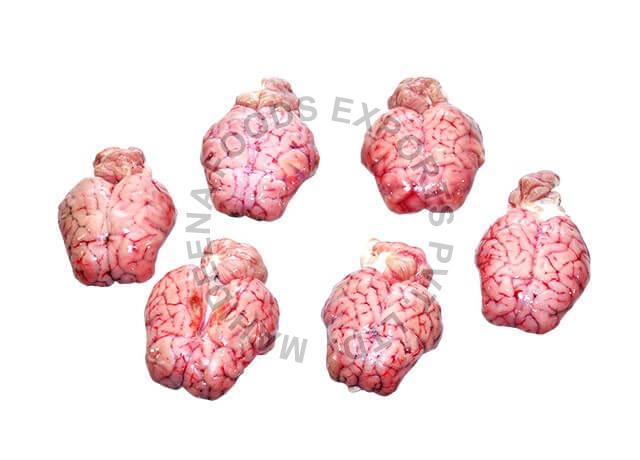 Frozen Mutton Brain