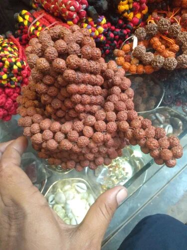 Brown Rudraksha Shivling