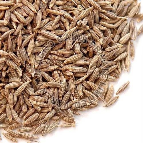 Brown Fennel Seeds